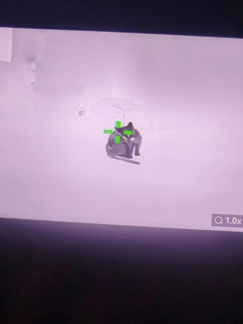 薏米可以和绿豆一起煮吗